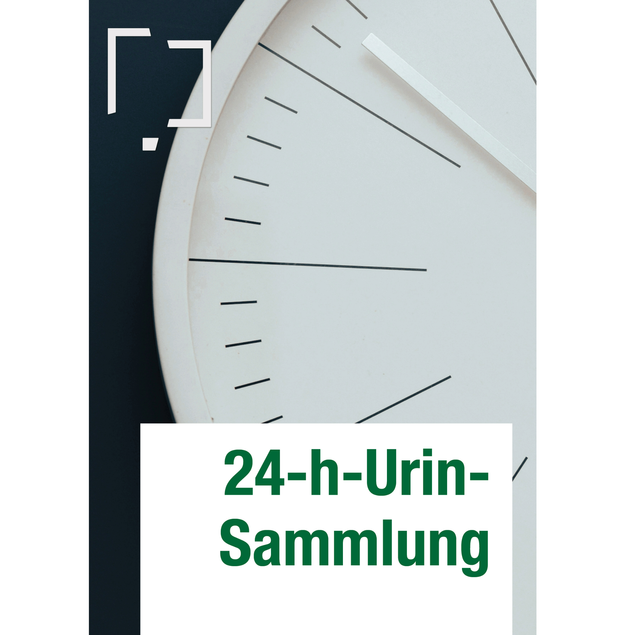 24-h Urin Sammlung, Set ohne Stabilisator-Zusatz  / 1 Stk.