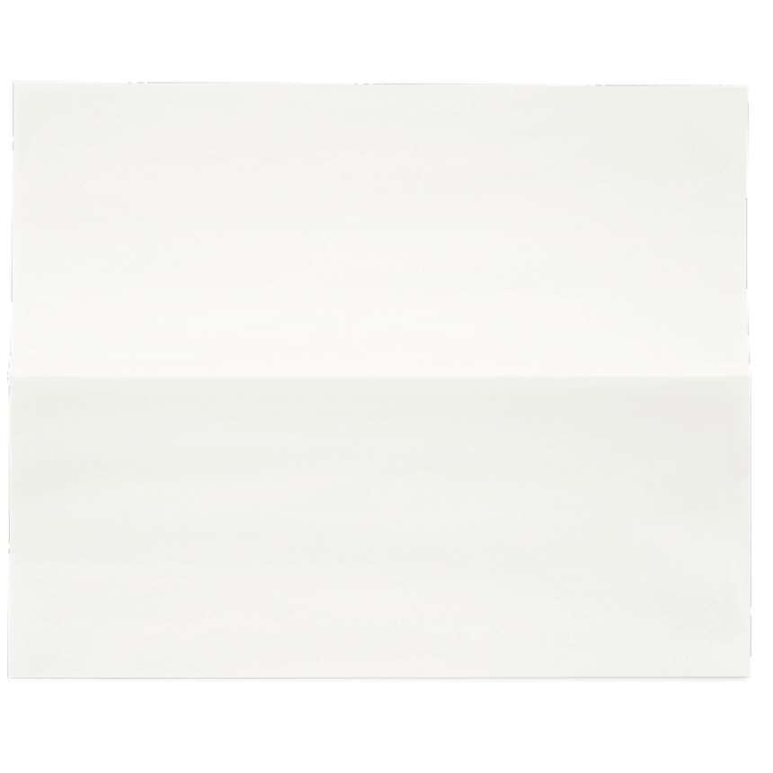 Salvietta Airlaid / viscosa 1 velo salvietta Airlaid misura telo: 30 x 40 cm