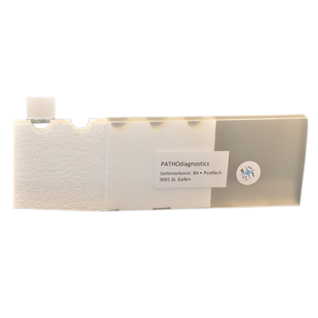 Versandverpackung Styropor f&#252;r 10x Objekttr&#228;ger / 1 Stk.