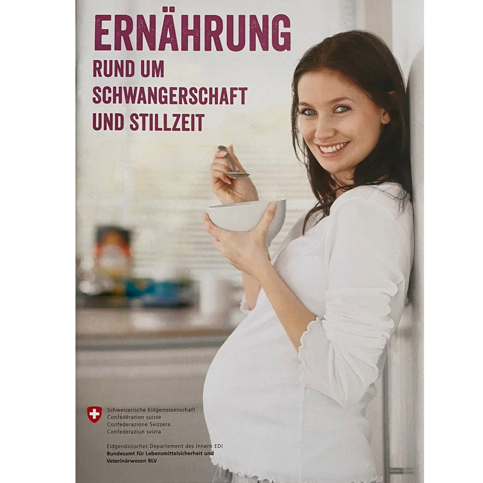 Brosch&#252;re: Ern&#228;hrung in der Schwangerschaft und Stillzeit / 1 Stk.